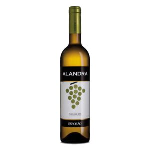 Alandra Branco IVV 2019