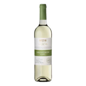 Quinta da Alorna Sauvignon Blanc Tejo DOC 2019